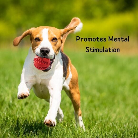 2-in-1 Dog Ball Toy- Red 2 inch- Durable Chew Ball for Aggressive Chewers - Picture 3 of 4